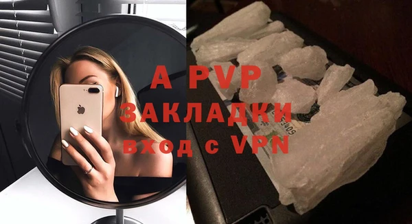 apvp Алексин