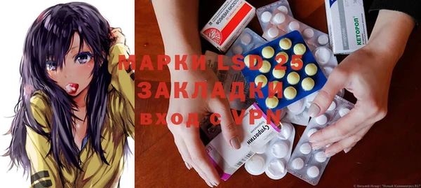 apvp Алексин